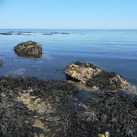 Le Costa Rica En Bord De Mer