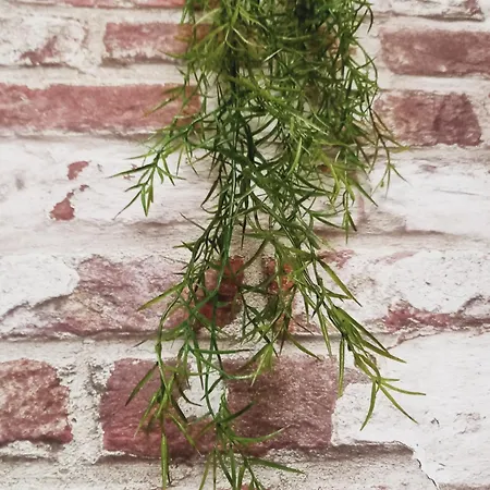 Le Costa Rica En Bord De Mer Vakantiehuis Fécamp